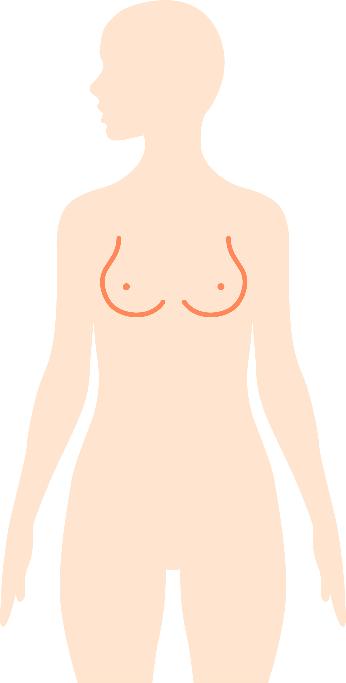乳房 — 女性部位示意圖
