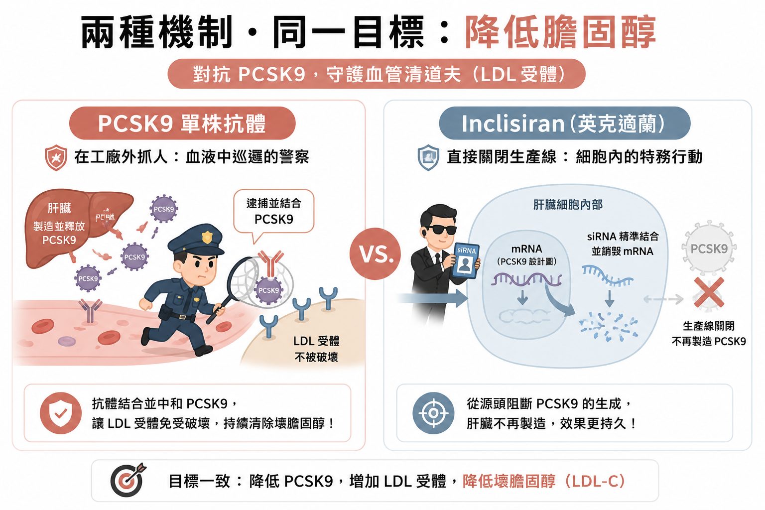 壞膽固醇數值總是降不下來？認識兩款紅字剋星，半年打一次針就能遠離心肌梗塞