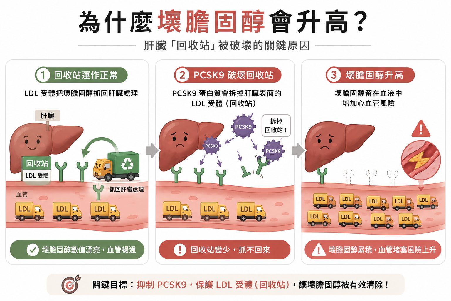 壞膽固醇數值總是降不下來？認識兩款紅字剋星，半年打一次針就能遠離心肌梗塞