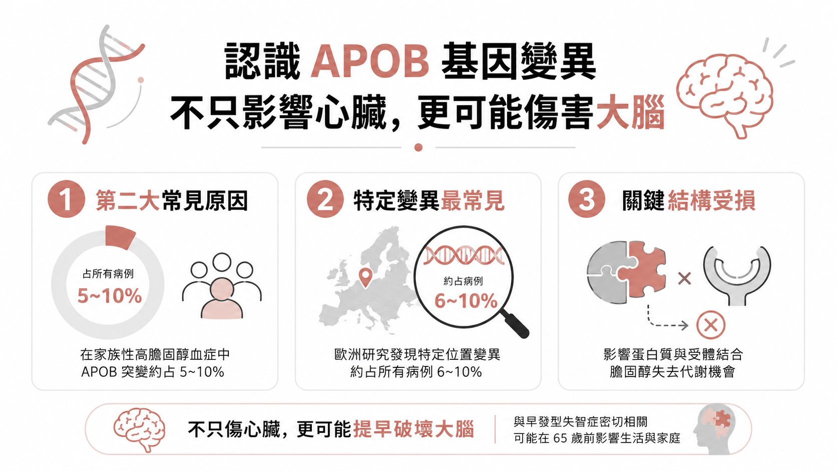 體檢膽固醇超標別輕忽!當心APOB基因變異帶來22倍心血管風險,3招精準對策教你自救