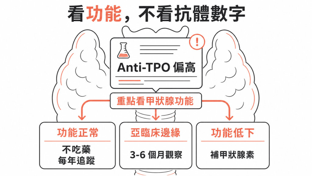 Anti-TPO偏高重點看甲狀腺功能：功能正常不吃藥每年追蹤、亞臨床邊緣3到6個月觀察、功能低下補甲狀腺素