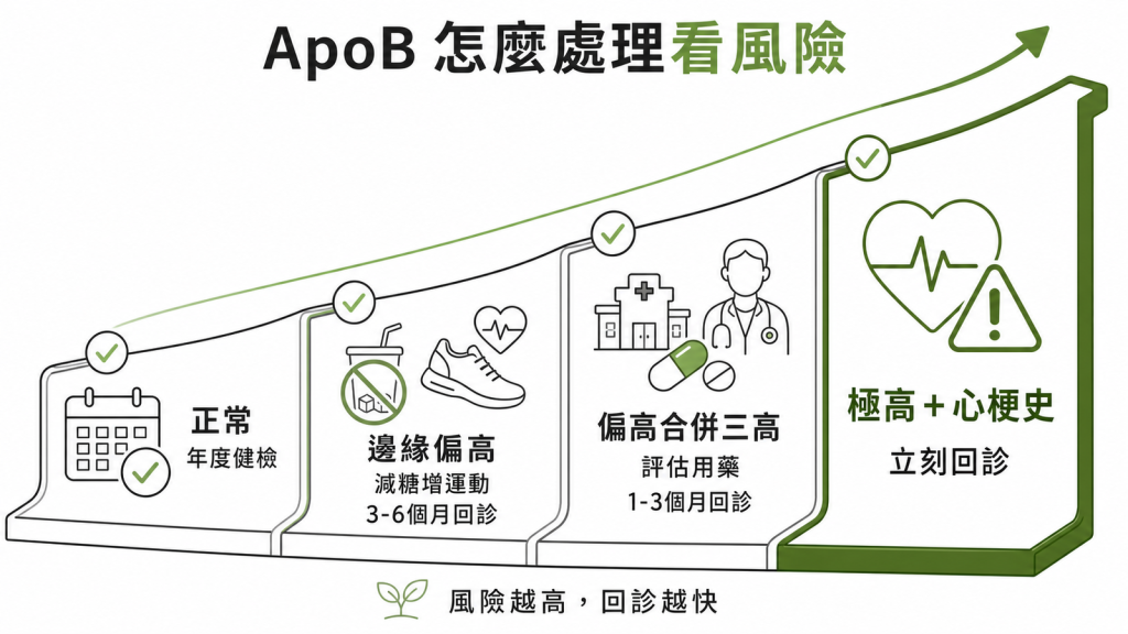 ApoB處置看風險：正常年度健檢、邊緣偏高減糖增運動3到6個月回診、偏高合併三高評估用藥1到3個月回診、極高有心梗史立刻回診