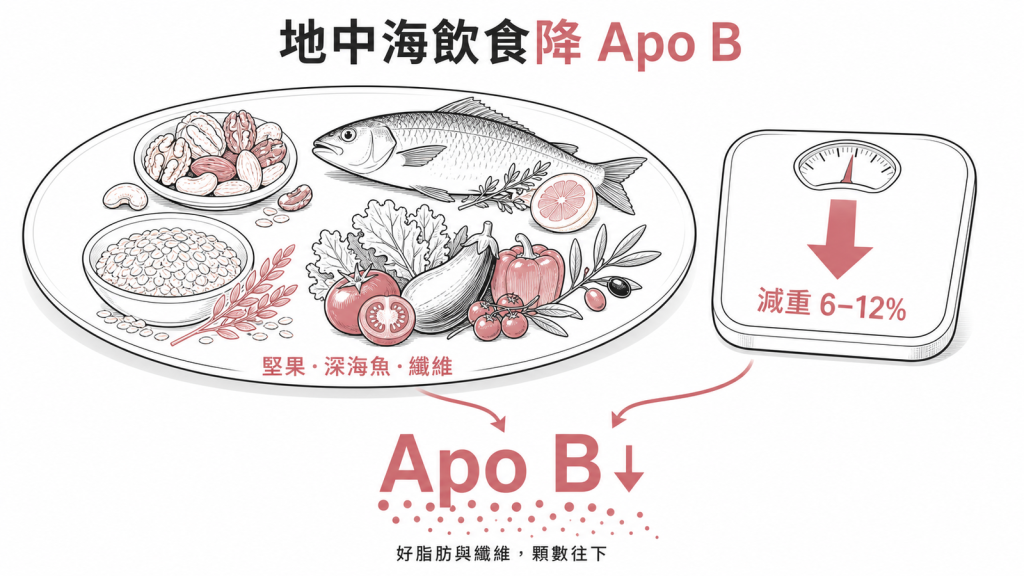 地中海飲食搭配堅果深海魚水溶性纖維植物固醇加上減重6到12%可降低Apo B顆數