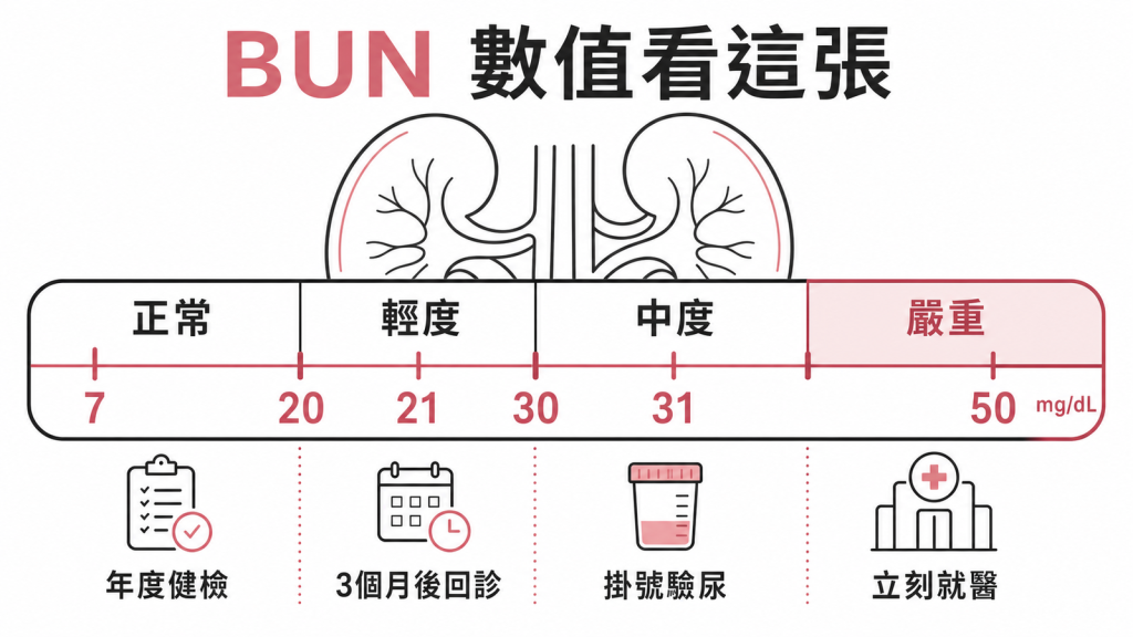BUN數值分級:正常7到20年度健檢、輕度21到30三個月回診、中度31到50掛號驗尿、大於50立刻就醫