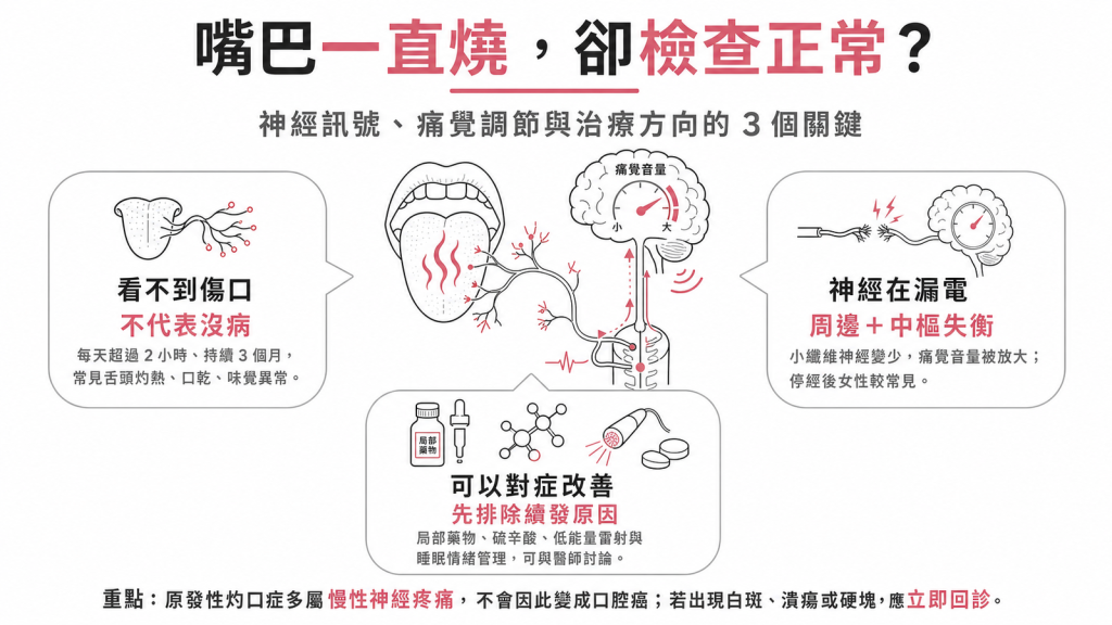 灼口症資訊圖：嘴巴持續灼熱但檢查正常，神經訊號異常與周邊中樞機轉，以及對症改善方向