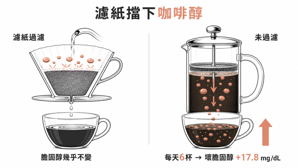 濾紙能擋下咖啡醇,未過濾咖啡每天6杯會讓壞膽固醇上升17.8mgdL