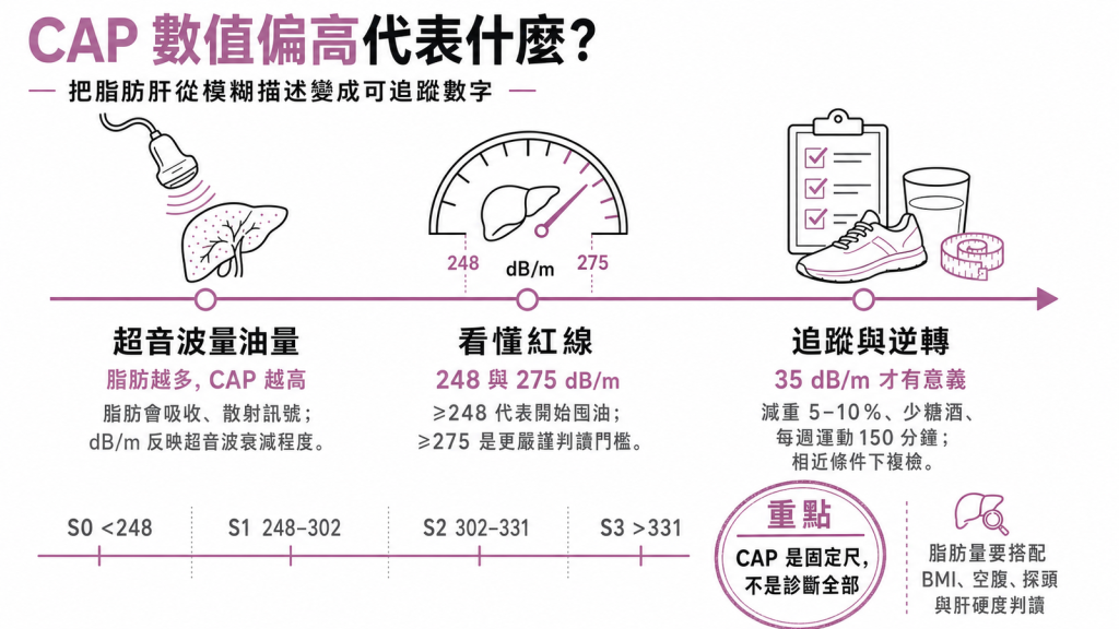 CAP 脂肪肝指數判讀資訊圖：248 與 275 dB/m 紅線、S0 到 S3 分級與逆轉對策