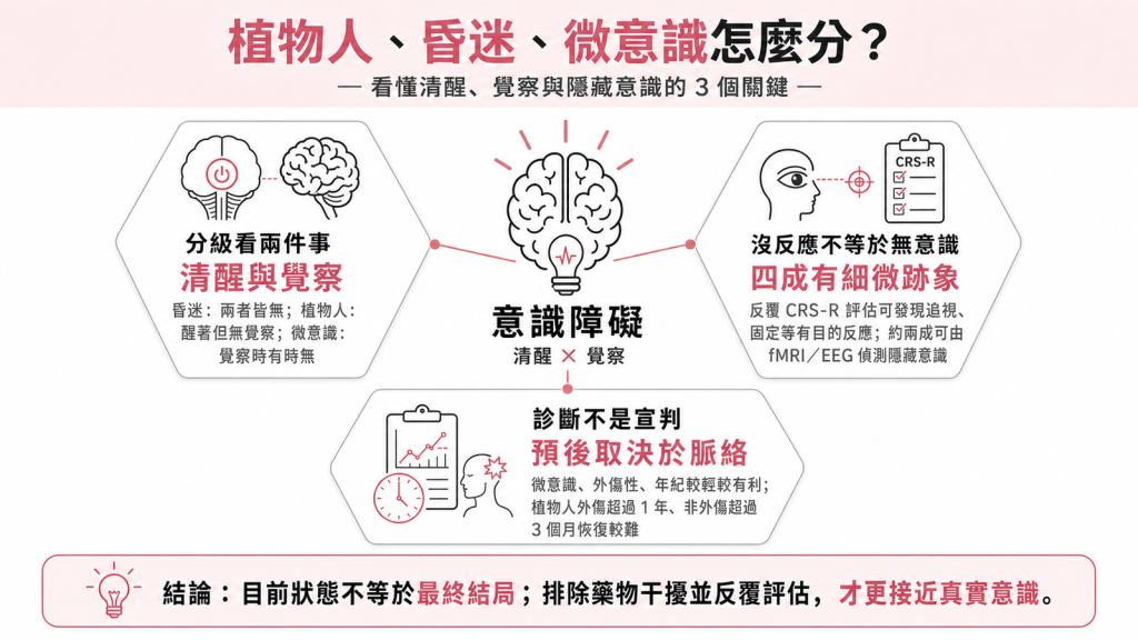 意識障礙分級資訊圖：昏迷、植物人、微意識依清醒與覺察區分，四成看似沒反應病人其實有細微意識跡象，診斷不等於最終結局