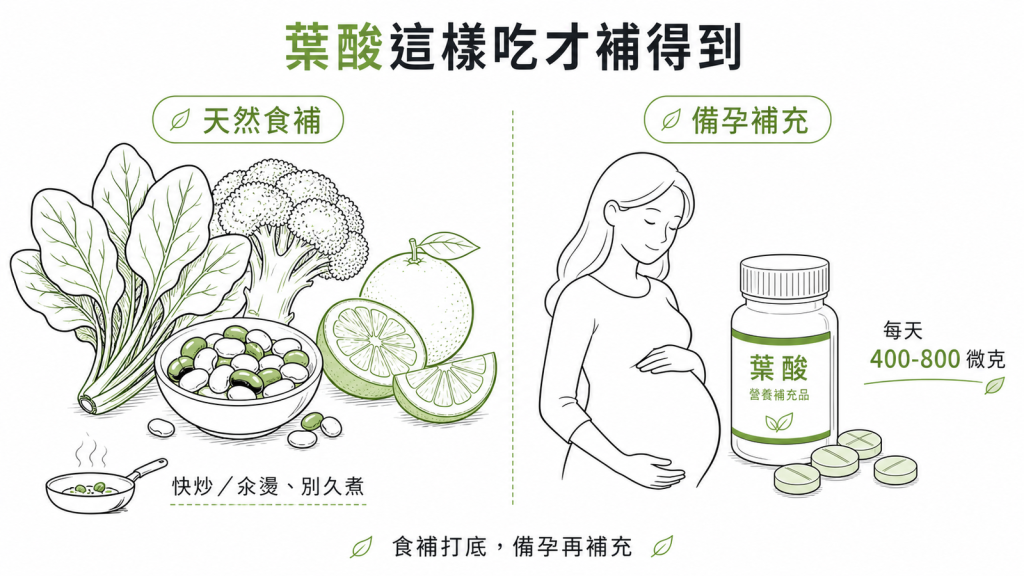 葉酸食補多吃深綠蔬菜豆類柑橘並快炒汆燙別久煮,備孕女性每天額外補400到800微克