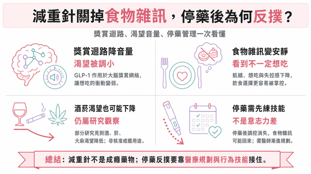 減重針與食物雜訊資訊圖：GLP-1 作用大腦獎賞迴路降低食物與酒菸渴望、停藥後反撲、非成癮藥物需醫師規劃