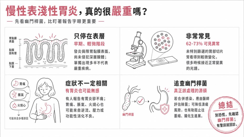 慢性表淺性胃炎資訊圖：發炎只停在胃黏膜表層屬早期輕微階段、非常常見胃部切片 62-73% 可見異常、症狀不一定相關有胃炎也可能無感、真正該追查的源頭是幽門桿菌