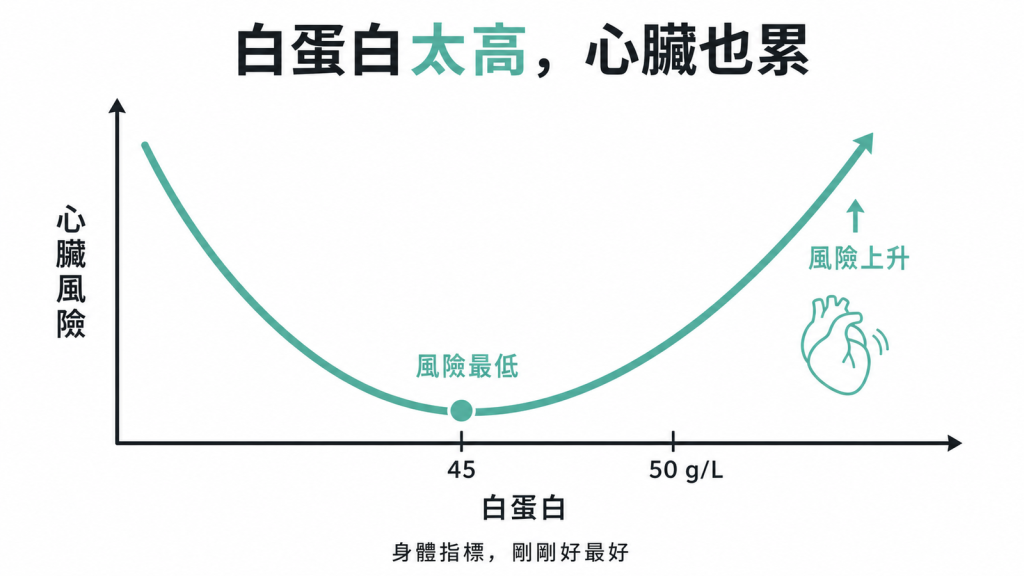 白蛋白與心臟風險呈U型曲線,約每公升45克風險最低、超過50克心臟考驗增加,剛剛好最好