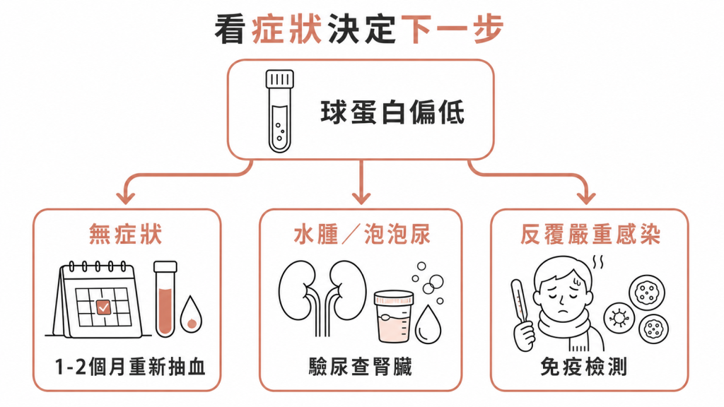 球蛋白偏低依症狀分流:無症狀1到2個月重抽、水腫泡泡尿驗尿查腎臟、反覆嚴重感染做免疫檢測