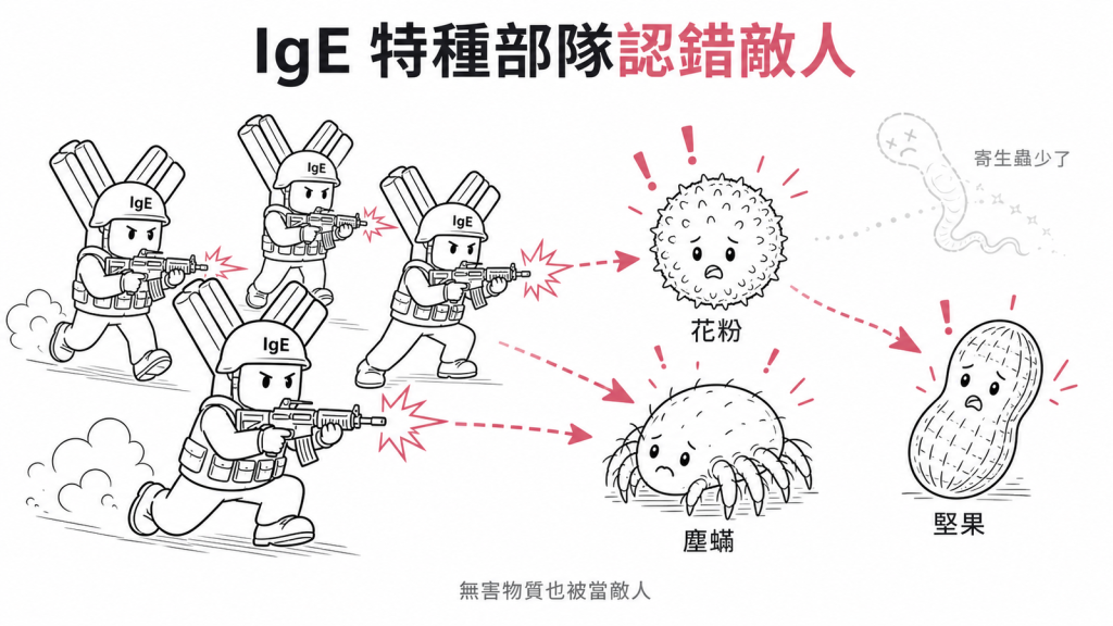 IgE像對抗寄生蟲的特種部隊,現代沒寄生蟲就對花粉塵蟎堅果等無害物質認錯敵人亂開火引發過敏
