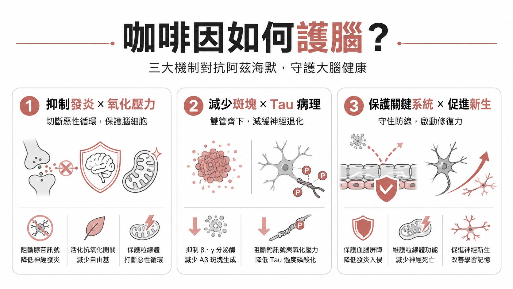 每天 2-3 杯咖啡護腦？咖啡因對抗阿茲海默的科學：減少類澱粉斑塊、降神經發炎的完整解析