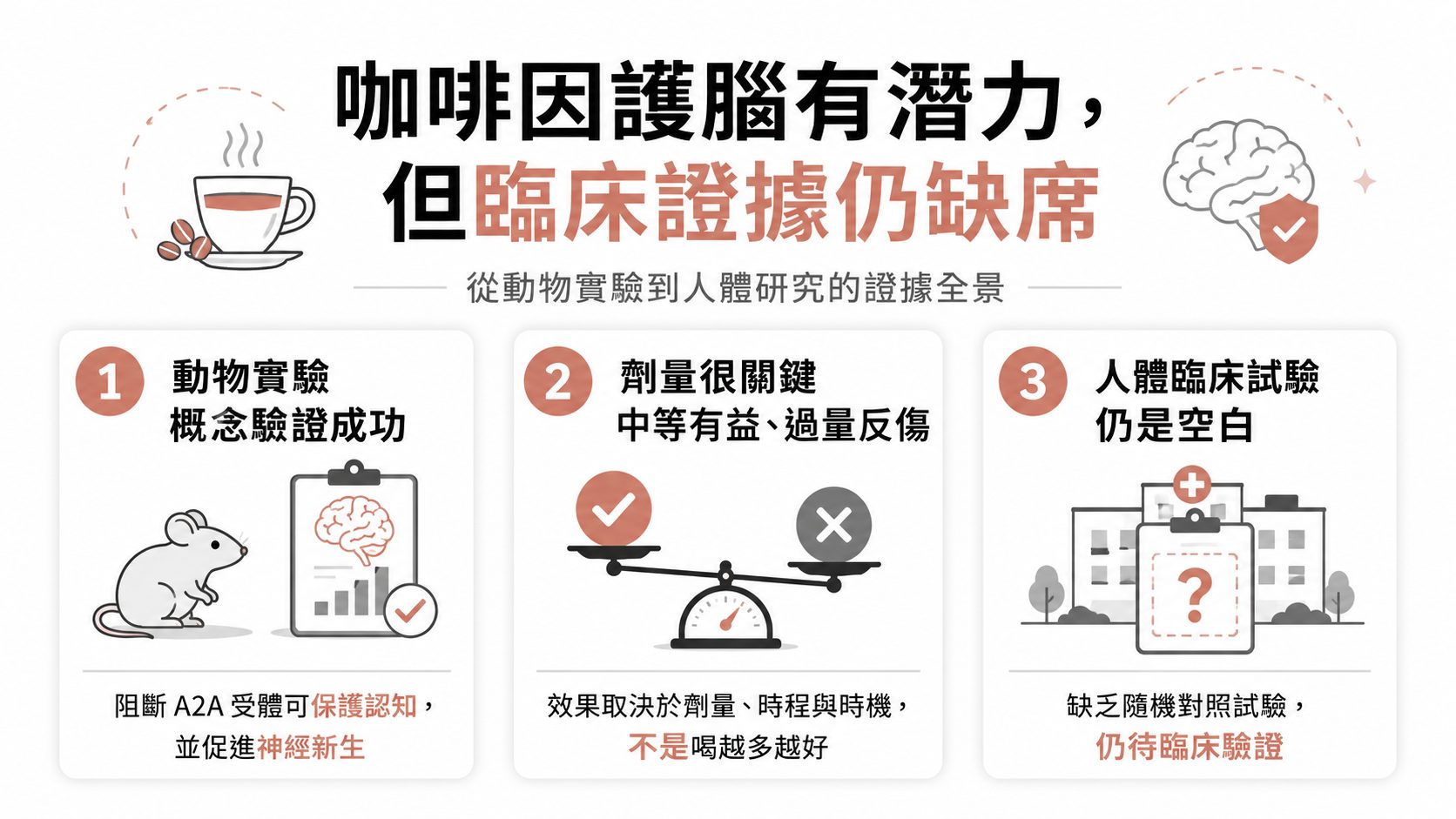 咖啡因能拿來「治療」失智嗎?拆解臨床證據:動物實驗很漂亮,人體試驗卻一片空白