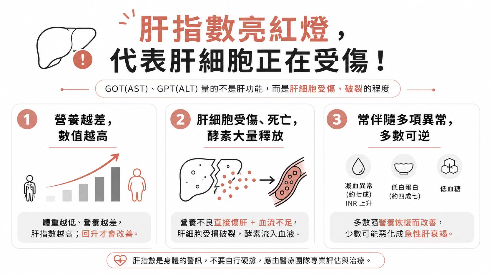 明明很瘦、又不喝酒，肝指數卻飆高？認識「飢餓性肝炎」