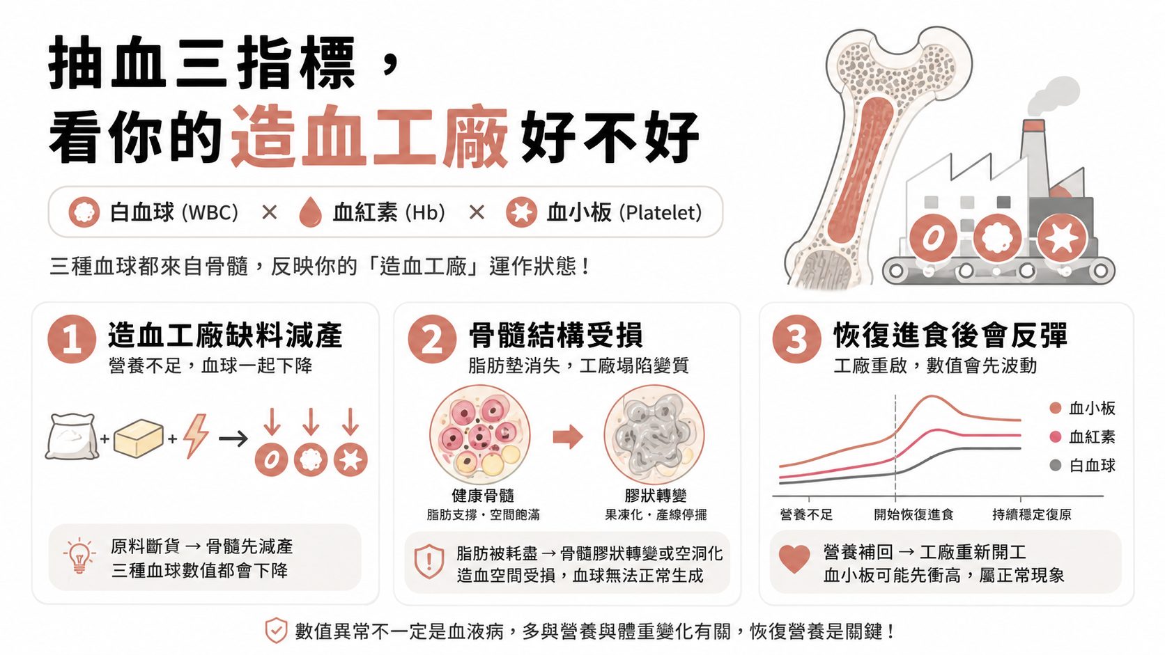 健檢血球三項一起偏低，又查不出感染？可能是骨髓在「鬧飢荒」