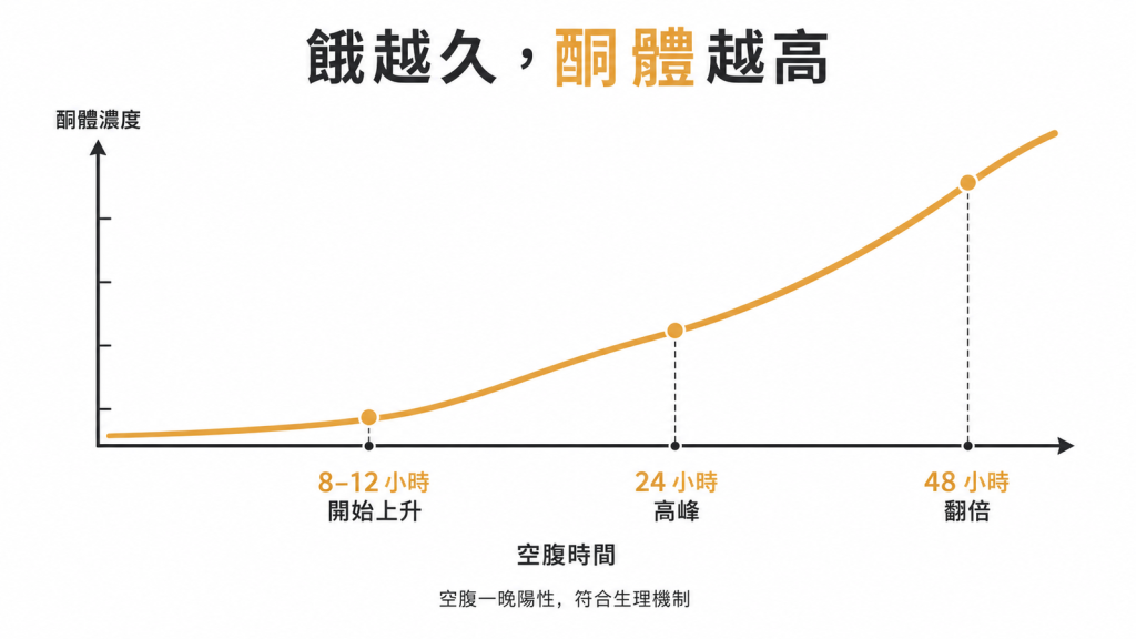 空腹8到12小時酮體開始上升,24小時達高峰,48小時翻倍,空腹一晚驗出陽性符合生理機制