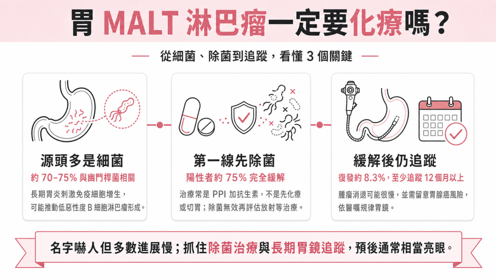 胃 MALT 淋巴瘤資訊圖：源頭多是細菌約 70-75% 與幽門桿菌相關、第一線先除菌陽性者約 75% 完全緩解、緩解後仍追蹤復發約 8.3% 至少追蹤 12 個月以上
