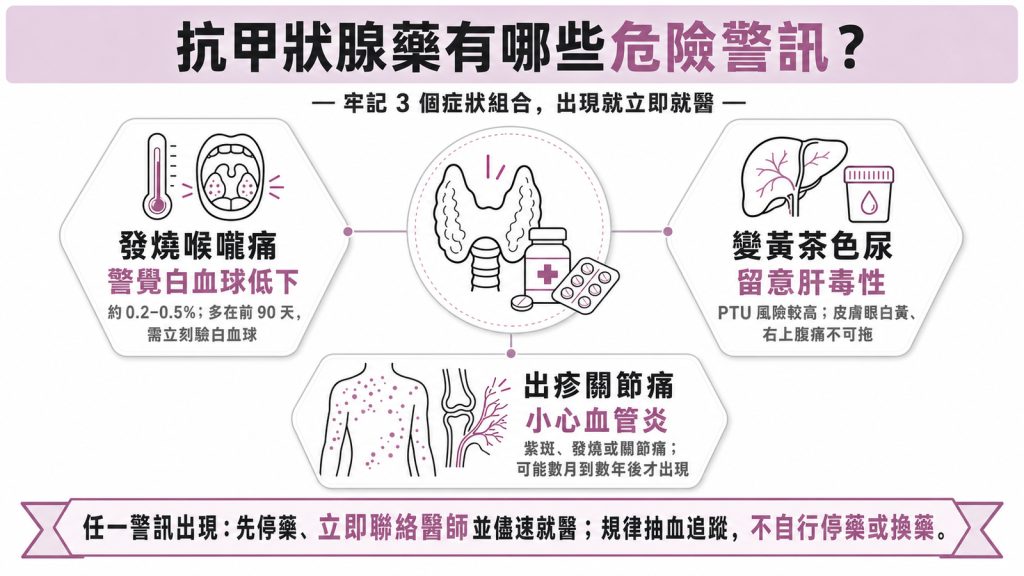抗甲狀腺藥危險警訊資訊圖：白血球低下、肝毒性與血管炎三大就醫警訊