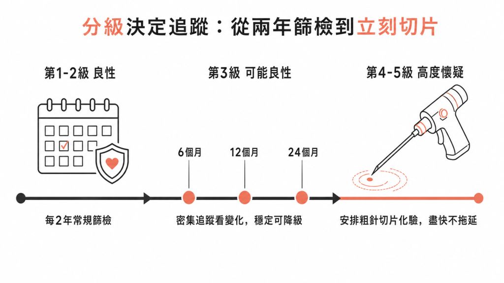 乳房鈣化分級追蹤時間軸:第1到2級良性每2年常規篩檢、第3級可能良性在6個月12個月24個月密集追蹤穩定可降級、第4到5級高度懷疑安排粗針切片化驗盡快不拖延