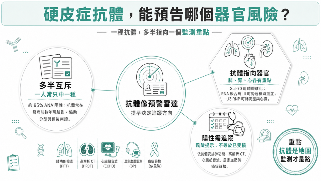 硬皮症自體抗體資訊圖：抗體多半互斥，每種預告不同器官風險，抗 Scl-70 盯肺、抗 RNA 聚合酶 III 防腎危機與癌症、抗 U3 RNP 盯肺動脈高壓