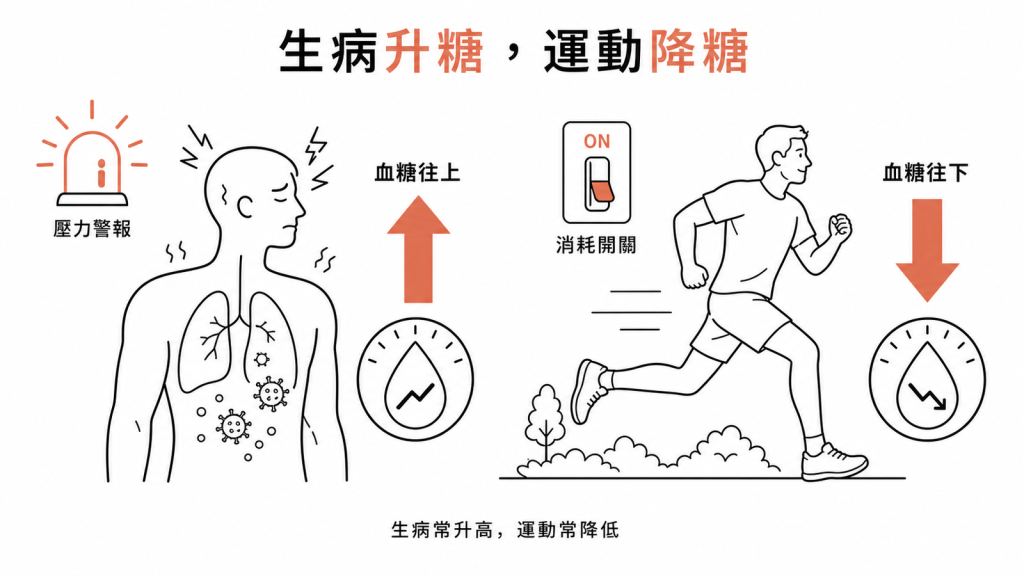 生病像壓力警報使血糖往上、運動像消耗開關使血糖往下的對比示意圖