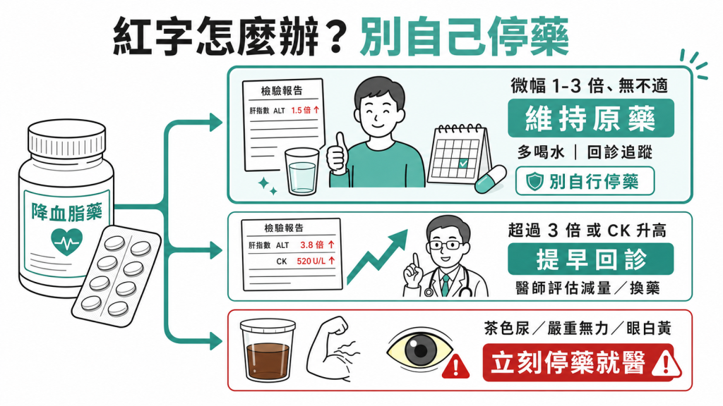 降血脂藥紅字別自己停藥：微幅1到3倍無不適維持原藥多喝水回診、超過3倍或CK升高提早回診評估減量換藥、茶色尿嚴重無力眼白黃立刻停藥就醫