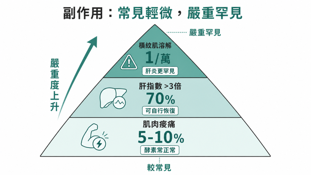 降血脂藥副作用常見輕微嚴重罕見：肌肉痠痛5到10%酵素常正常、肝指數超過3倍約70%可自行恢復、橫紋肌溶解約萬分之一肝炎更罕見