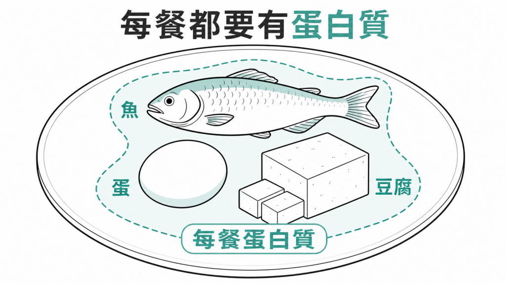每一餐都安排優質蛋白質來源