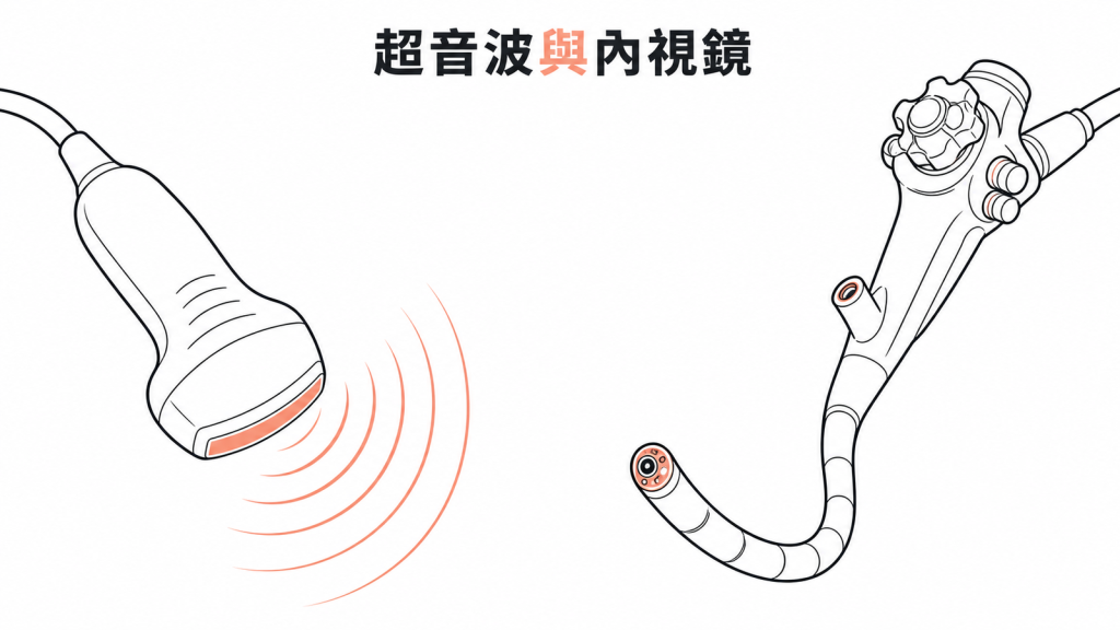 超音波與內視鏡檢查分類示意圖