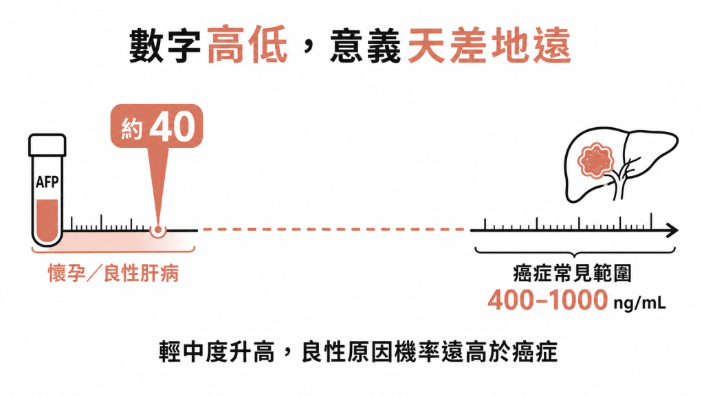AFP約40屬懷孕或良性肝病，離癌症常見的400至1000ng/mL還很遠