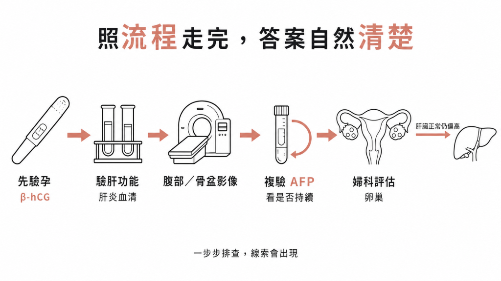 AFP排查流程先驗孕再驗肝功能與肝炎影像複驗必要時婦科評估卵巢