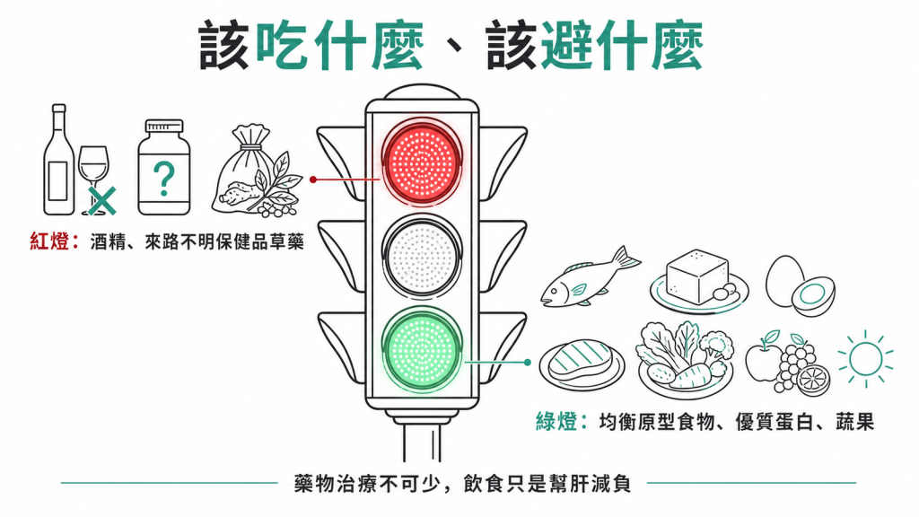自體免疫肝炎飲食紅綠燈：綠燈多吃均衡原型食物優質蛋白蔬果，紅燈避開酒精與來路不明保健品草藥