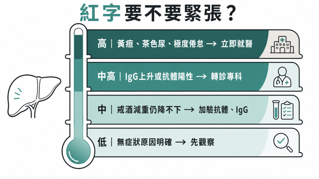 肝指數紅字分級：低風險先觀察、中風險加驗抗體IgG、中高轉診專科、高風險立即就醫