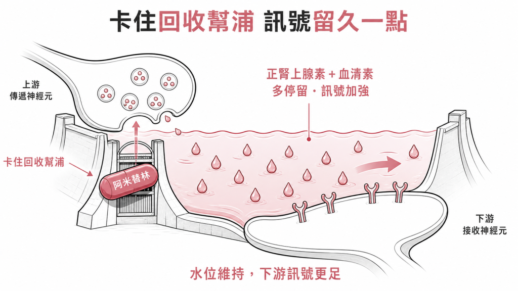 amitriptyline像卡住水庫閘門的回收幫浦，讓正腎上腺素與血清素在神經間多停留、訊號加強