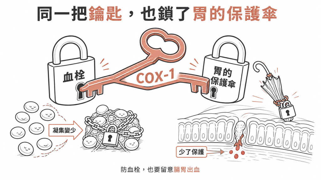 阿斯匹靈用COX-1這把鑰匙鎖住血栓、卻也一起鎖掉胃的保護傘，讓胃腸少了保護容易腸胃道出血