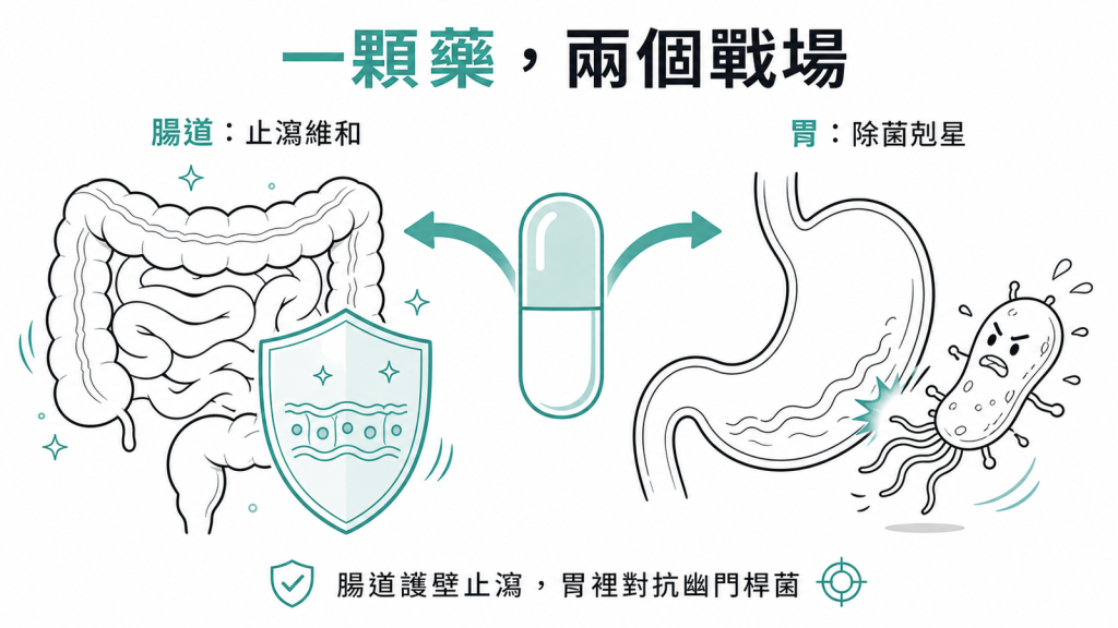 鉍劑一藥兩戰場:腸道止瀉維和、胃裡對抗幽門桿菌的線稿示意