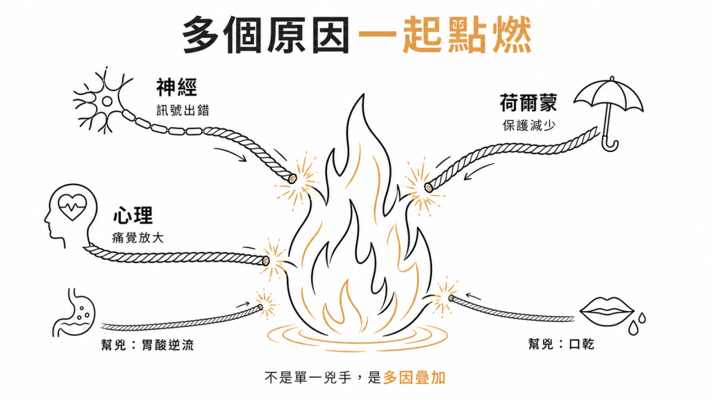 灼口症由神經、荷爾蒙、心理三主因加上胃酸逆流口乾等幫兇多因疊加點燃