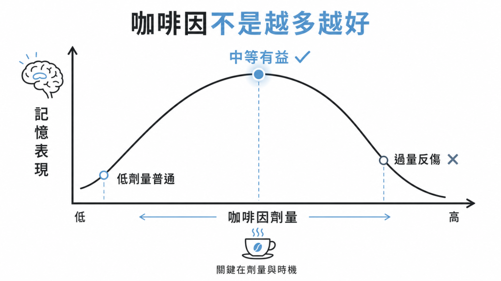 動物研究顯示咖啡因記憶效果呈倒U曲線中等劑量有益記憶高劑量反而損害記憶形成不是越多越好關鍵在劑量與時機