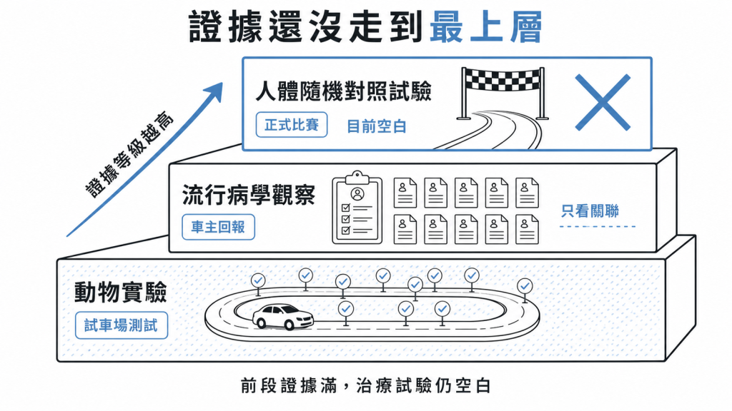 咖啡因治失智的證據分三層動物實驗像試車場測試流行病學觀察像車主回報只看關聯人體隨機對照試驗是正式比賽目前一片空白前段滿後段空