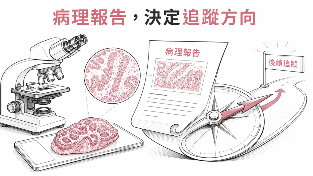 大腸息肉病理報告決定風險層級線稿圖
