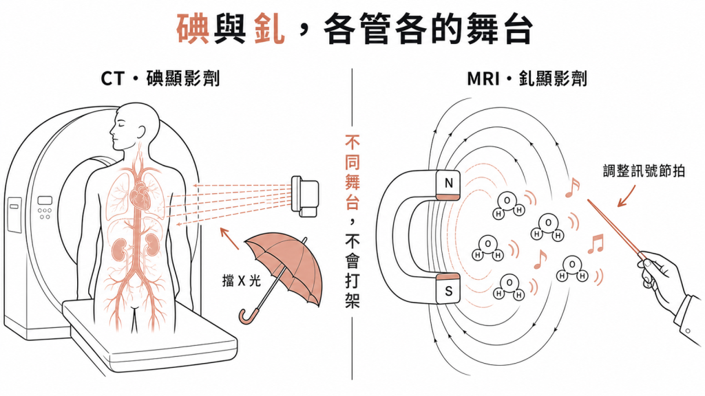 CT碘顯影劑靠擋X光成像MRI釓顯影劑靠改變磁場訊號原理不同不會互相干擾