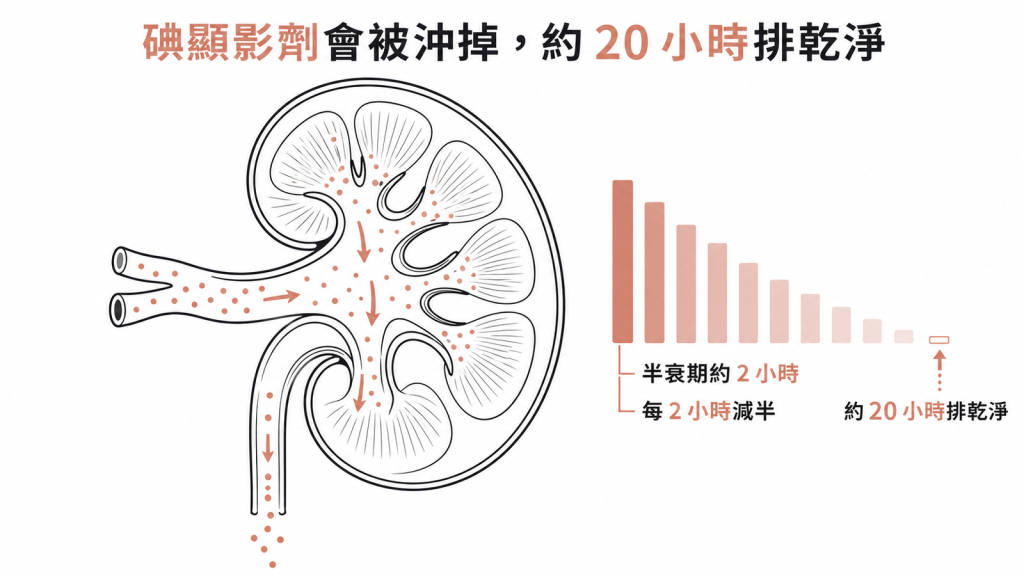 碘顯影劑半衰期約2小時腎功能正常者約20小時幾乎完全排乾淨