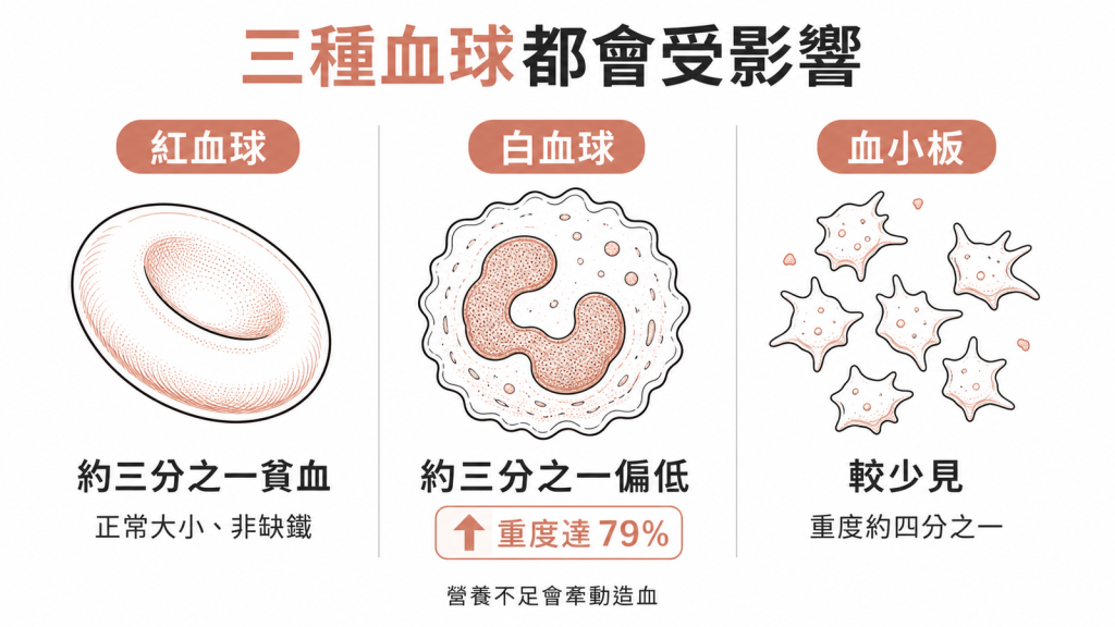 嚴重營養不良厭食症三種血球都會受影響紅血球約三分之一貧血正常大小非缺鐵白血球約三分之一偏低重度達79趴血小板較少見重度約四分之一