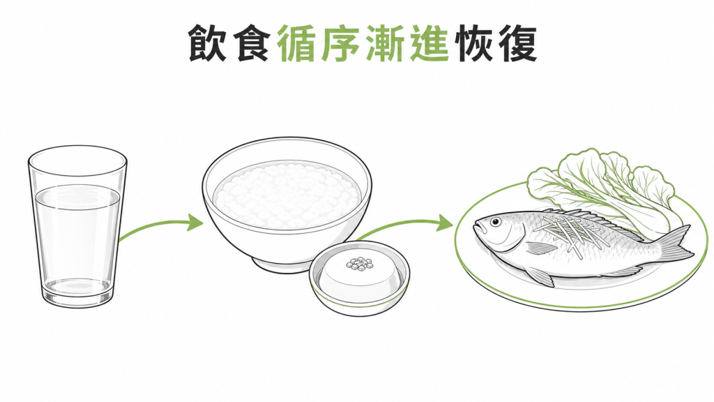 息肉切除後飲食從清流質軟食循序恢復的衛教圖