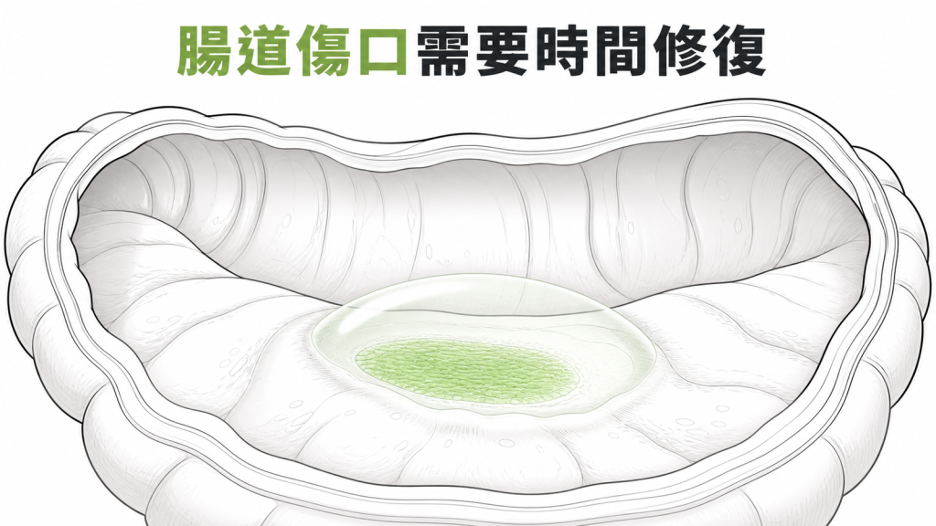 大腸息肉切除後腸道傷口需要時間修復的衛教圖