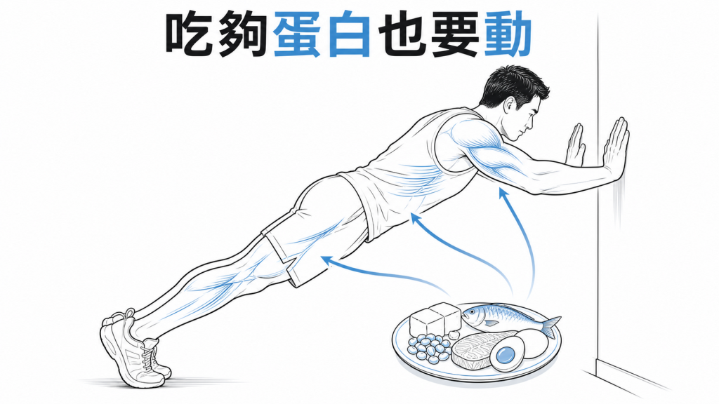蛋白質搭配阻力運動維持肌肉