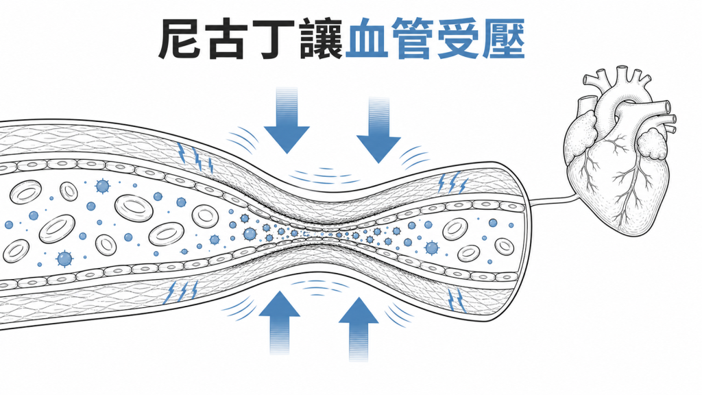 電子煙尼古丁與微粒影響血管示意圖